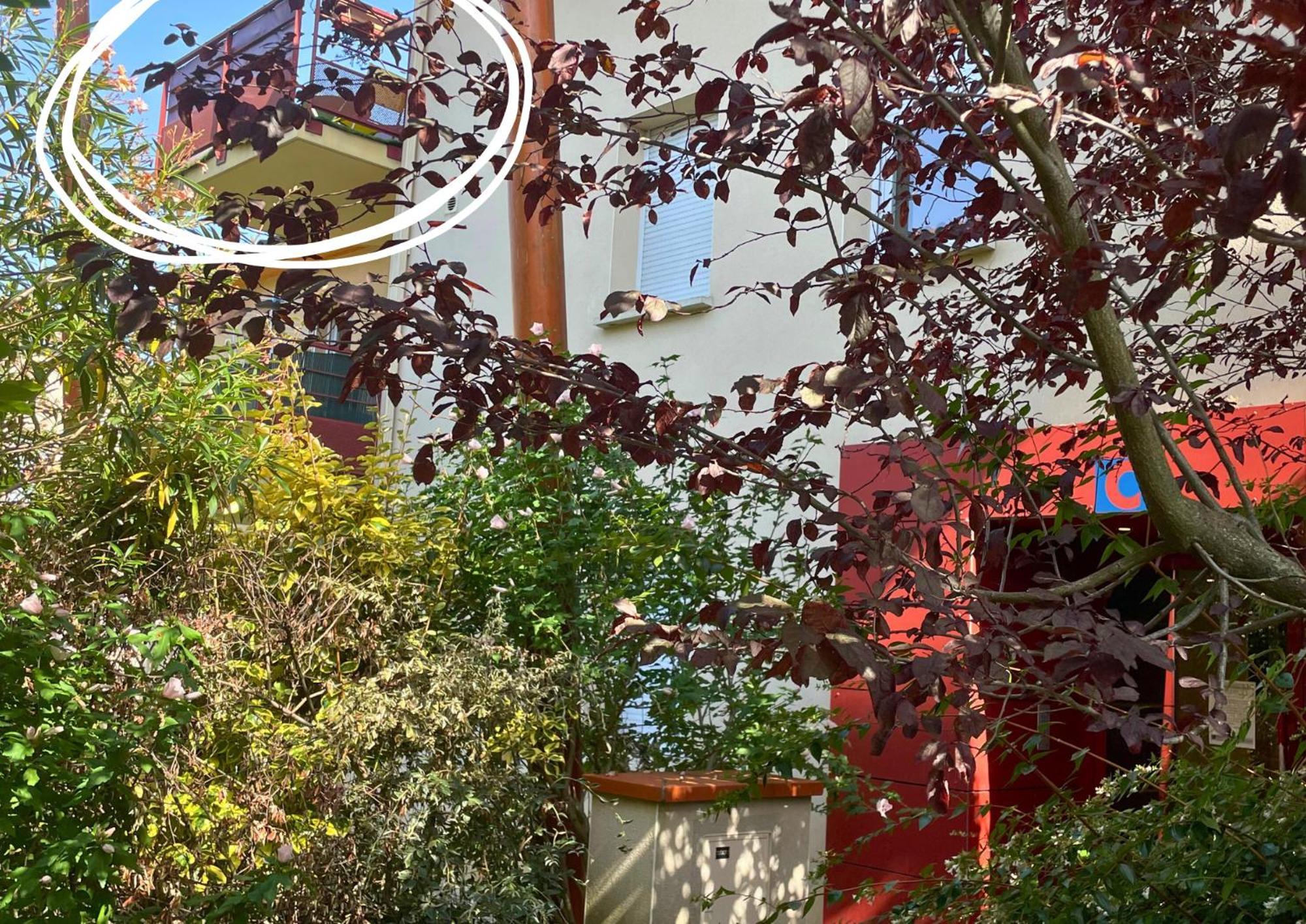 Le Jungle - Parking Et Wifi Gratuit - Balcon - Alexa Lägenhet Saint-Alban  Exteriör bild
