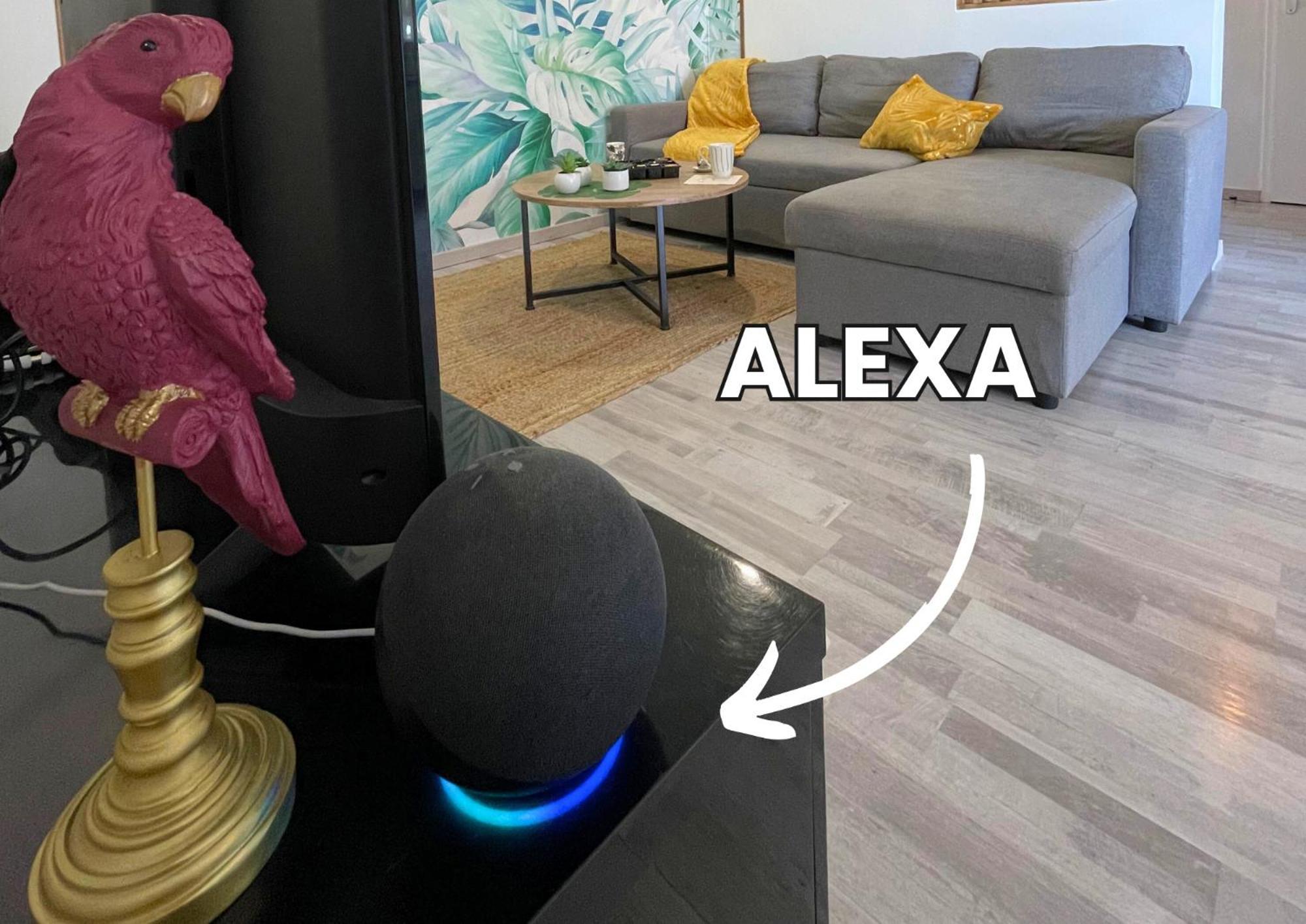 Le Jungle - Parking Et Wifi Gratuit - Balcon - Alexa Lägenhet Saint-Alban  Exteriör bild